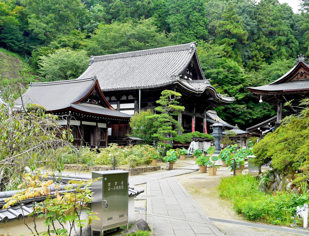 岡寺