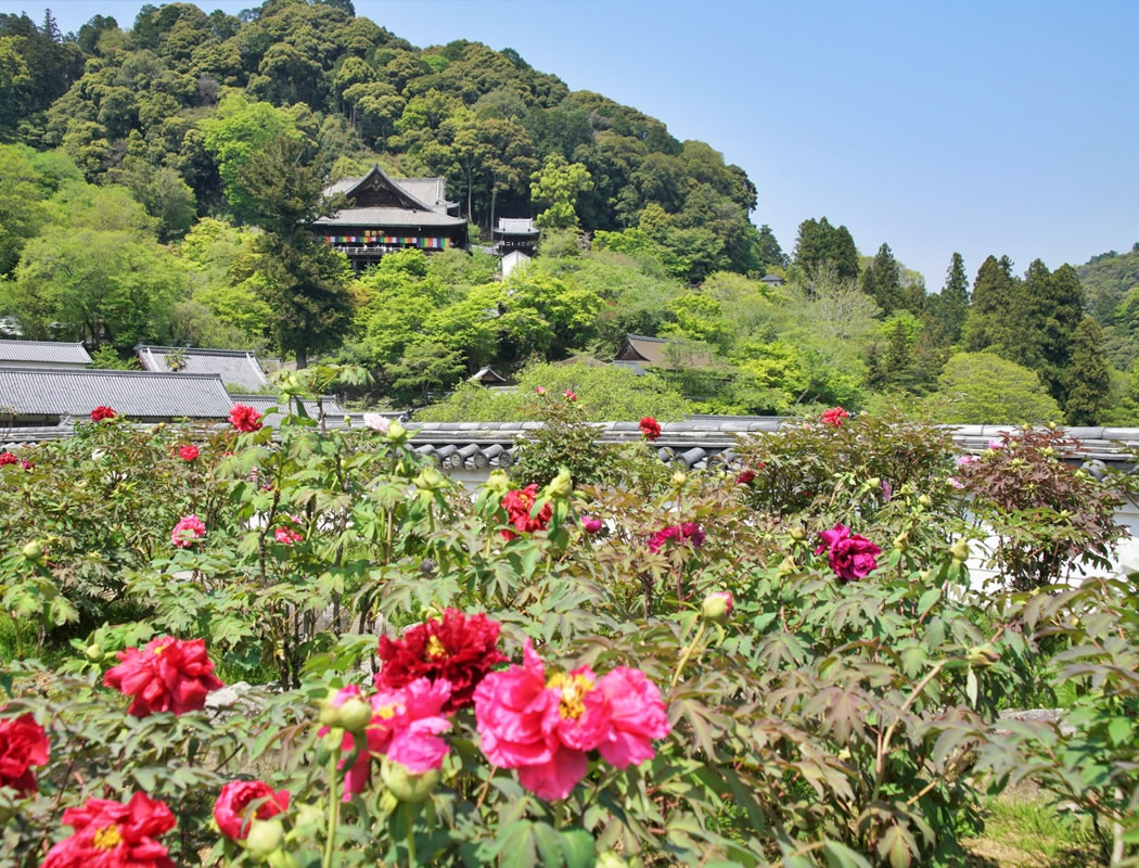 長谷寺
